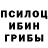 Галлюциногенные грибы Magic Shrooms princesskanu