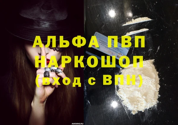 эйфоретик Беломорск