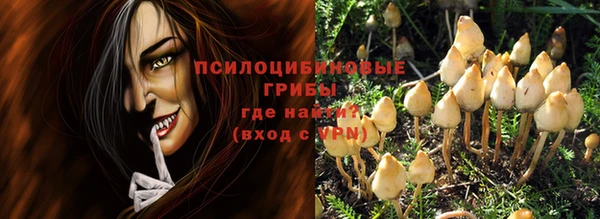 амфетамин Белокуриха