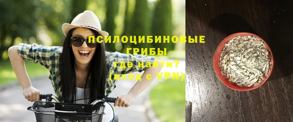 амфетамин Белокуриха