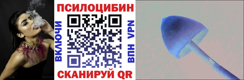 Галлюциногенные грибы Magic Shrooms  Энем 